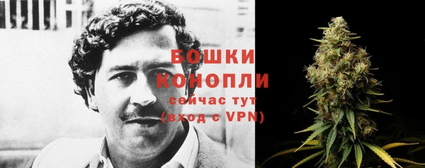 сатива Магас