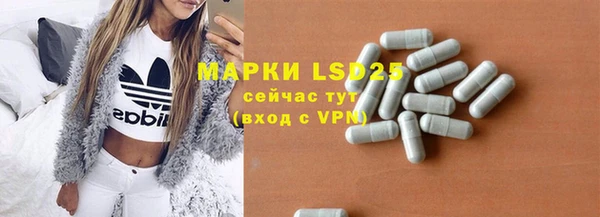 сатива Магас