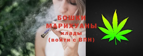 сатива Магас