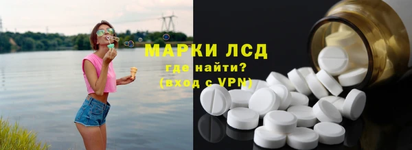 сатива Магас