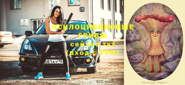 сатива Магас