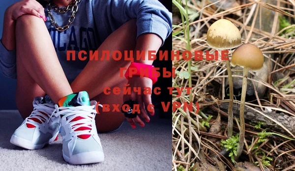 сатива Магас