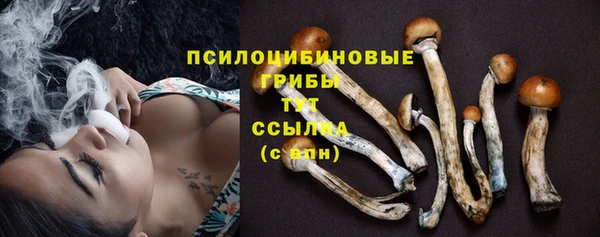 сатива Магас