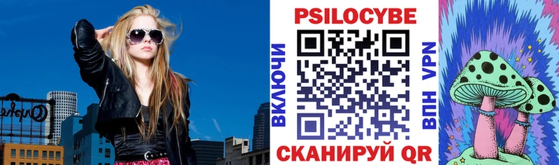 купить   Юрьевец  Галлюциногенные грибы ЛСД 